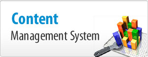 Content Management System(CMS)